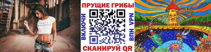 Галлюциногенные грибы ЛСД  сколько стоит  Мелеуз 